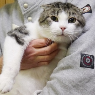 耳折れ☆ピンクのお鼻☆腕の中でふみふみ男子