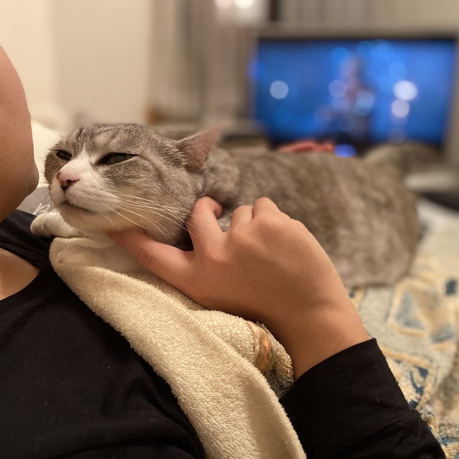 まいながすえのカバー写真
