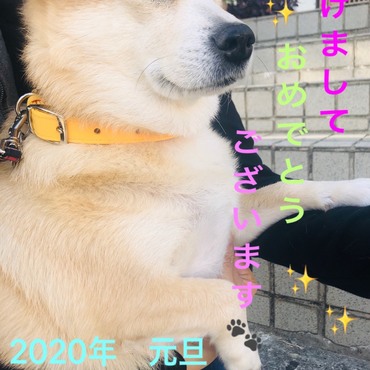 の写真