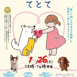 保護犬猫譲渡会『てとて』