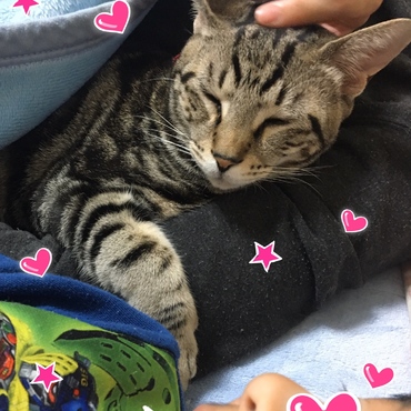 おいで〜♡と言うと、みゃ〜♡と腕の中に来る海ちゃん♡