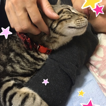 ぐるるるぐるるるぐるるる♡