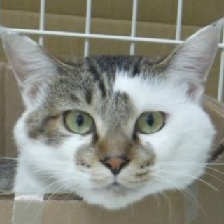 きっとオンリーワンになります！