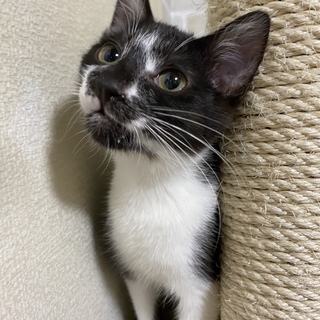 ちょっとシャイなぱんくん❤️