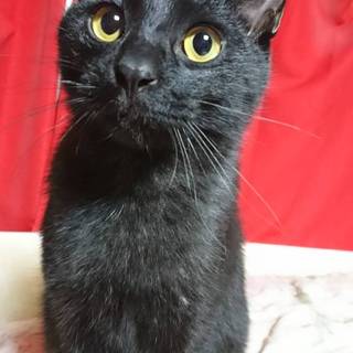 ベタベタ甘ちゃん のり君