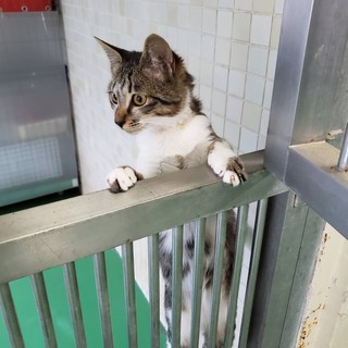 交渉中、一時停止