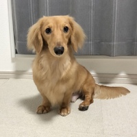 キック