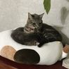 の写真