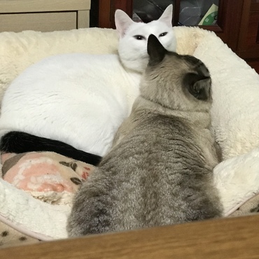 の写真