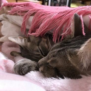 の写真