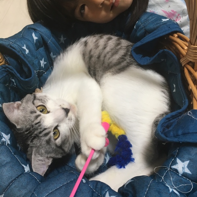 aiayumiのカバー写真