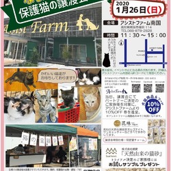 猫の譲渡会 アシストファーム南国inなまえのない猫