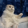 くみちよ