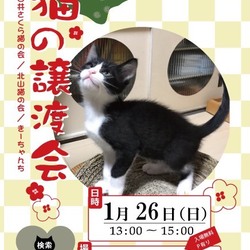 保護猫の譲渡会at北山集会所
