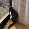 の写真