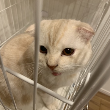おかえり。ﾟﾟ(つД≦｡)°ﾟ｡手術よくがんばったね