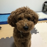 ちゃこ