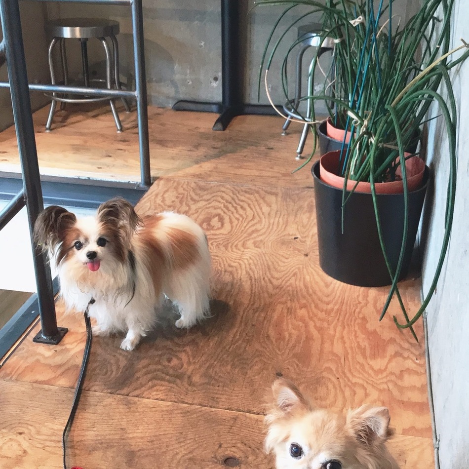 ふじのカバー写真