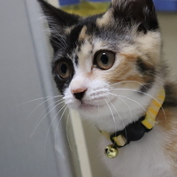 ちーちゃん
