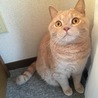 まめ3