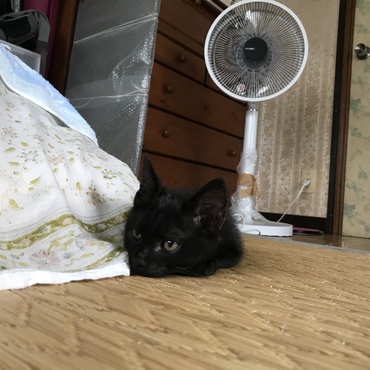 の写真