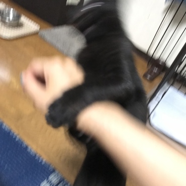 の写真
