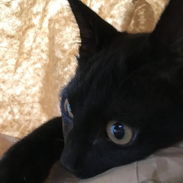の写真