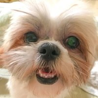りら