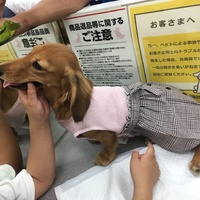 ミルク
