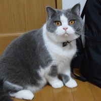 そら