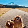 の写真