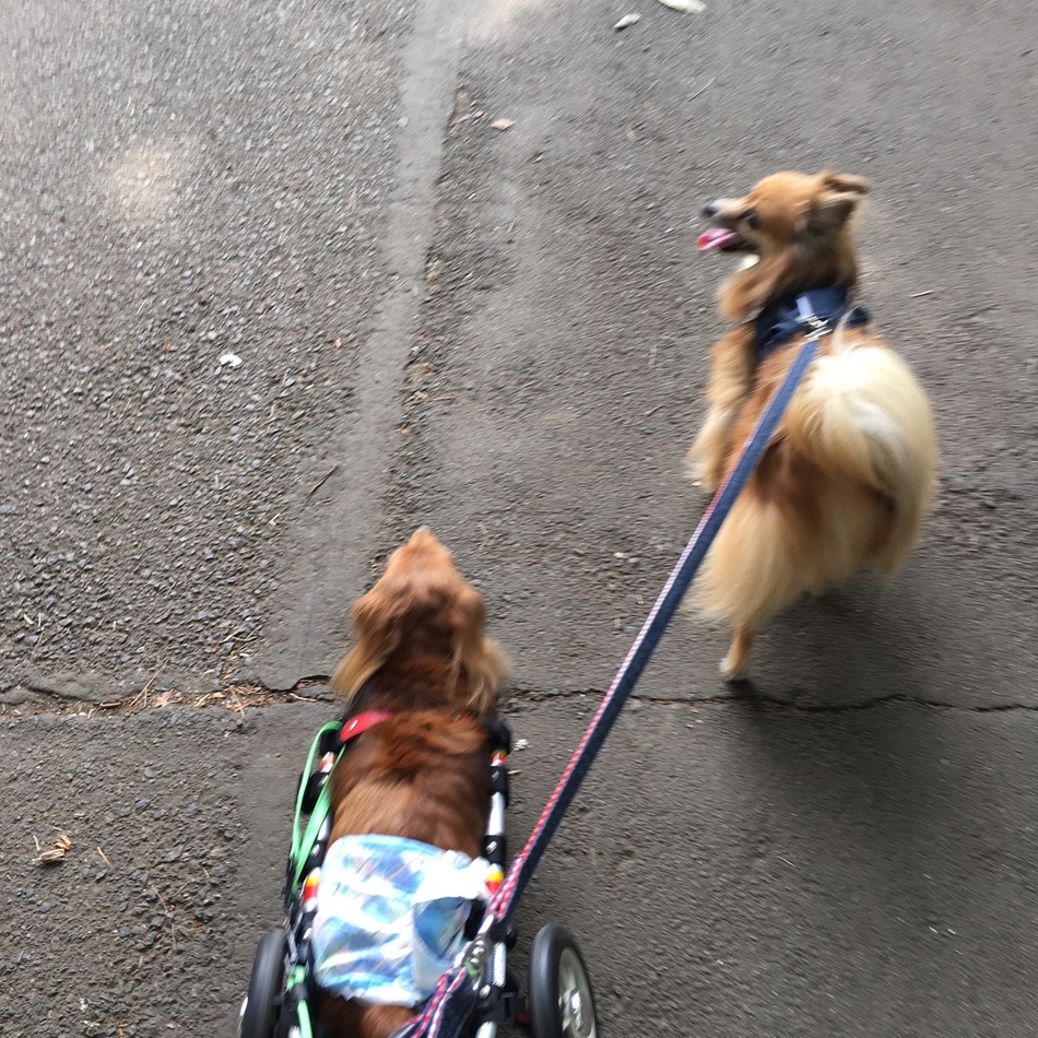 クランのカバー写真