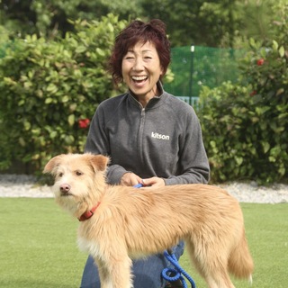 性格も見た目も完璧！テリアミックス君