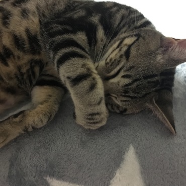 1月11日の海ちゃん。