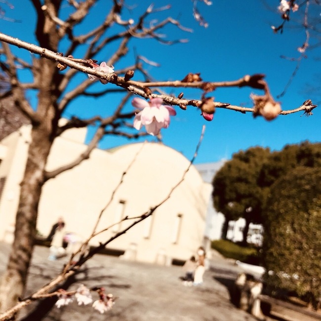 seijun3937510のカバー写真