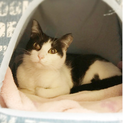 今年もお世話になります