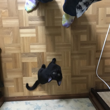僕を置いてなんて行かせないからね！