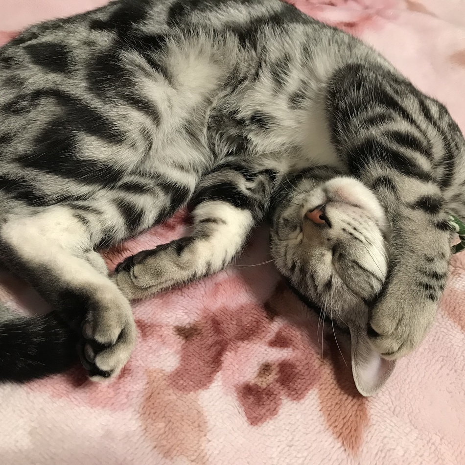 雨のカバー写真
