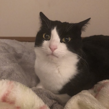 あかちゃんのかお