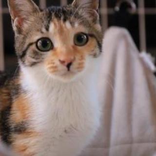 あやの♡お申し込みが入りました