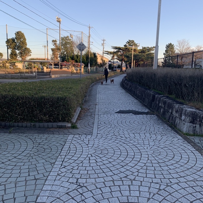 はんゆにのカバー写真