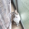 ぬんんん さん