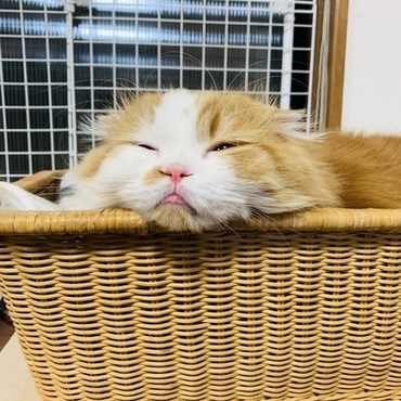 の写真