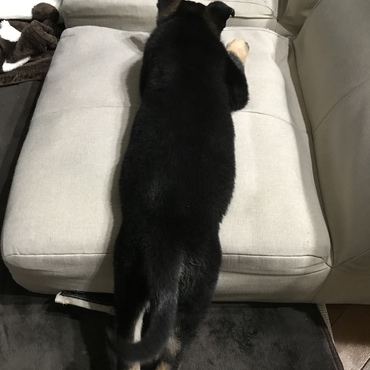 の写真