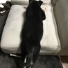 の写真