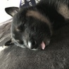 の写真