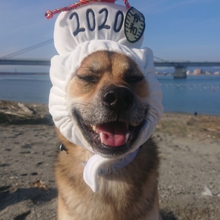 募集中！中型犬♂まーくん