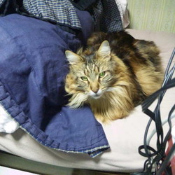 「待てよ～待てよ～～！キャンセル～～！(笑)」サムネイル3