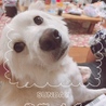 ん？なにー？