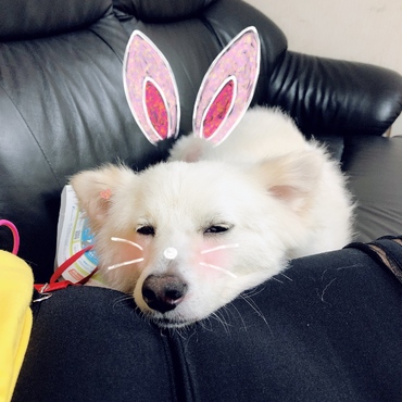 ねむーい、幸せー(。-ω-)zzz
